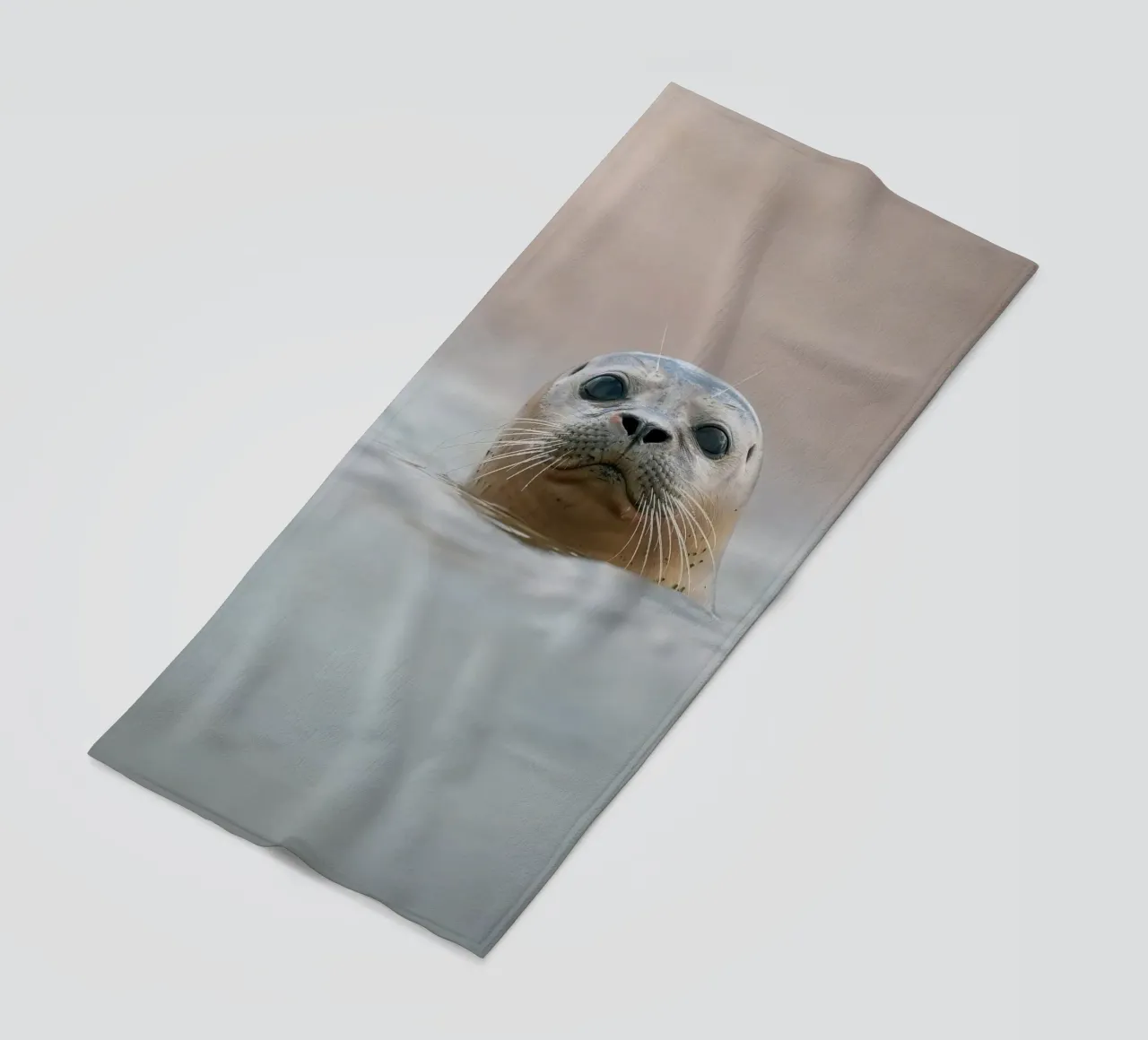 Sigillo telo mare da Tom's Wildlife