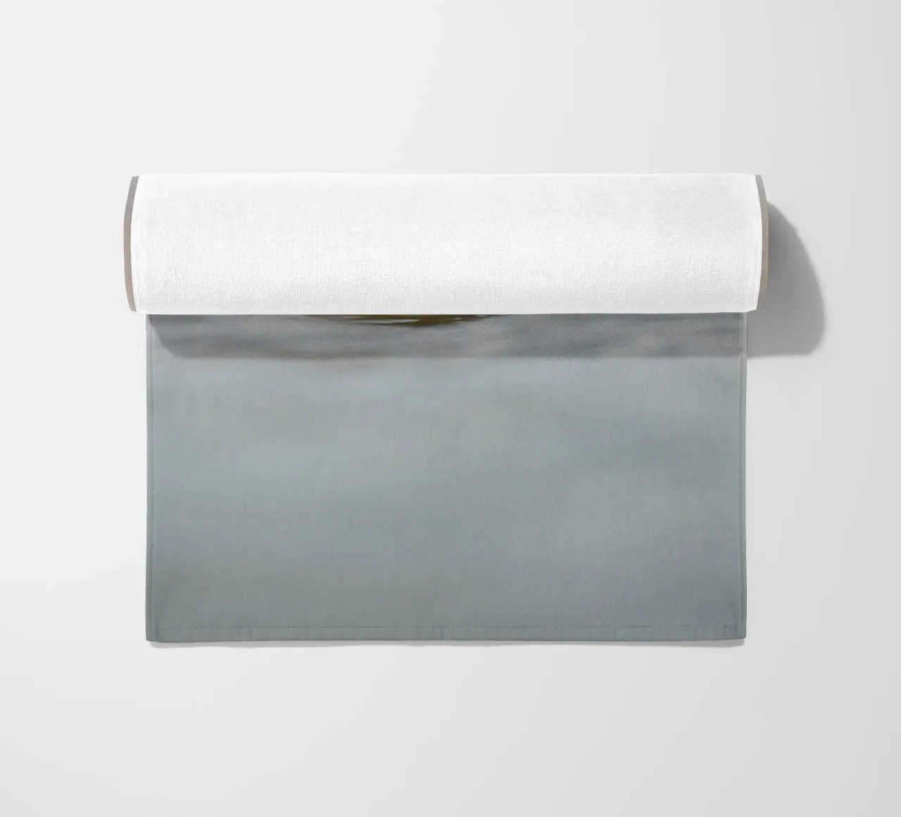 Sigillo telo mare da Tom's Wildlife