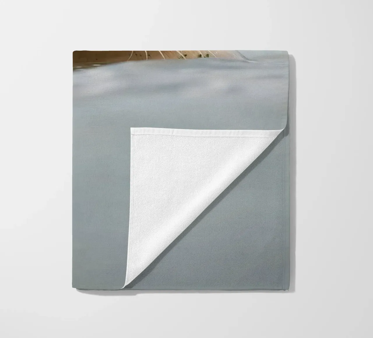 Sigillo telo mare da Tom's Wildlife