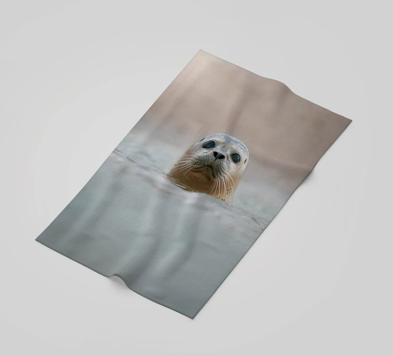 Sigillo telo mare da Tom's Wildlife