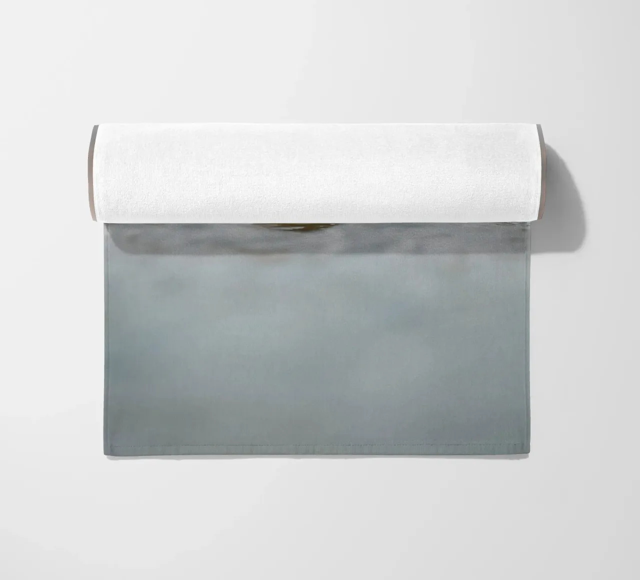 Sigillo telo mare da Tom's Wildlife