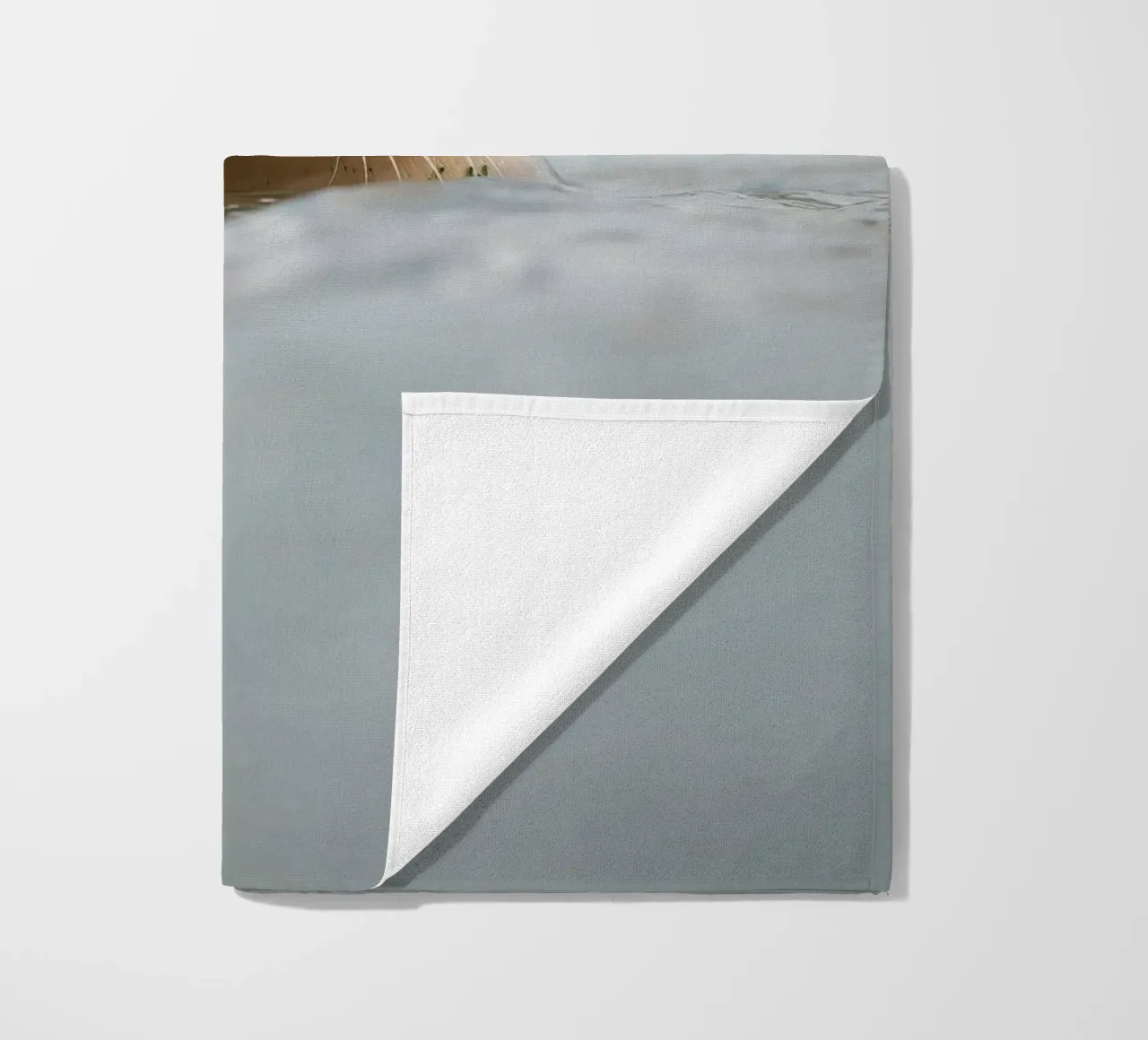 Sigillo telo mare da Tom's Wildlife