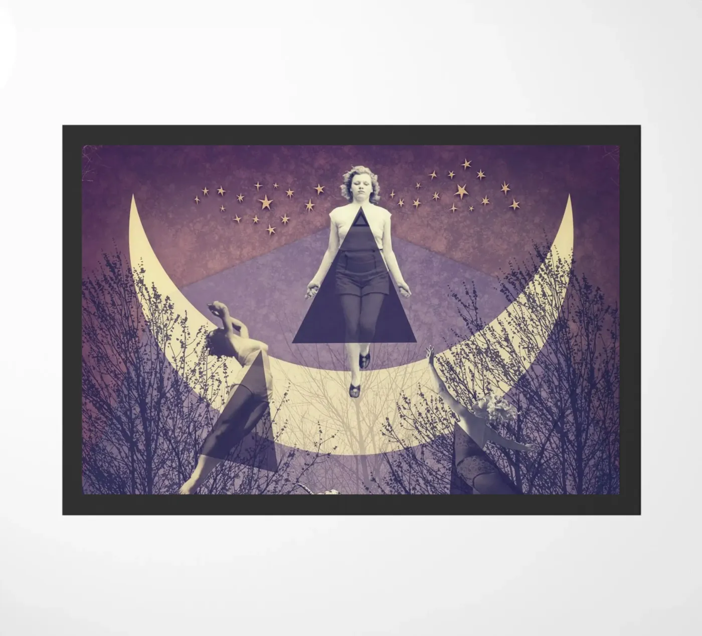 Il volo zerbino da Eva Nev