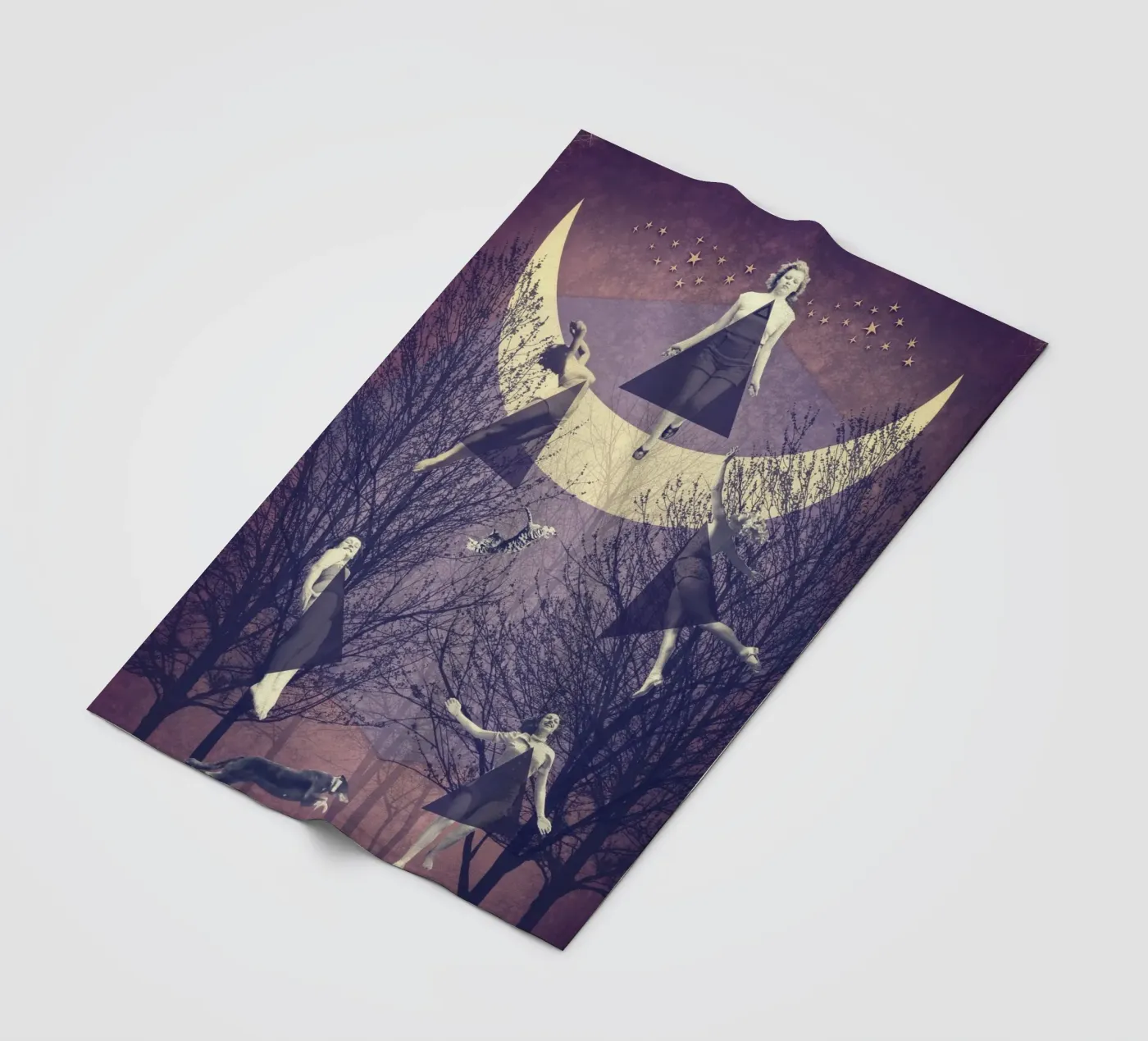 Der Flug Fleecedecke von Eva Nev