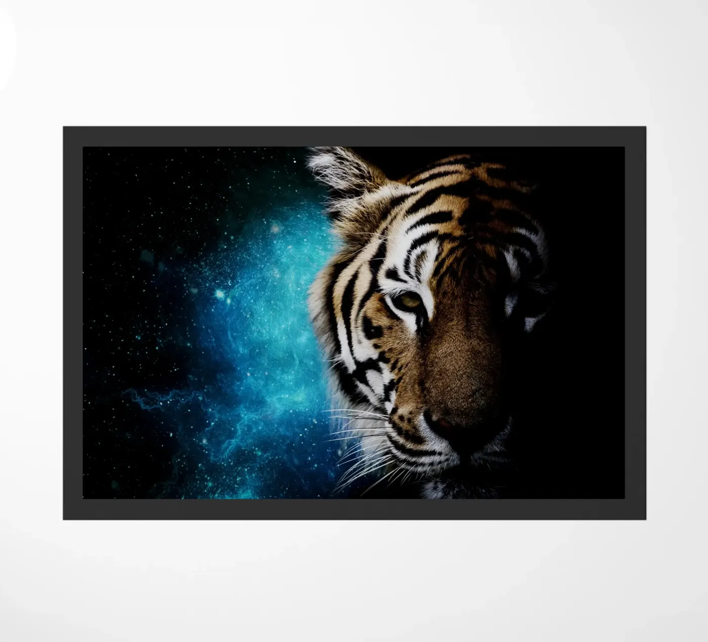Tiger Galaxy 2 zerbino da Mateo