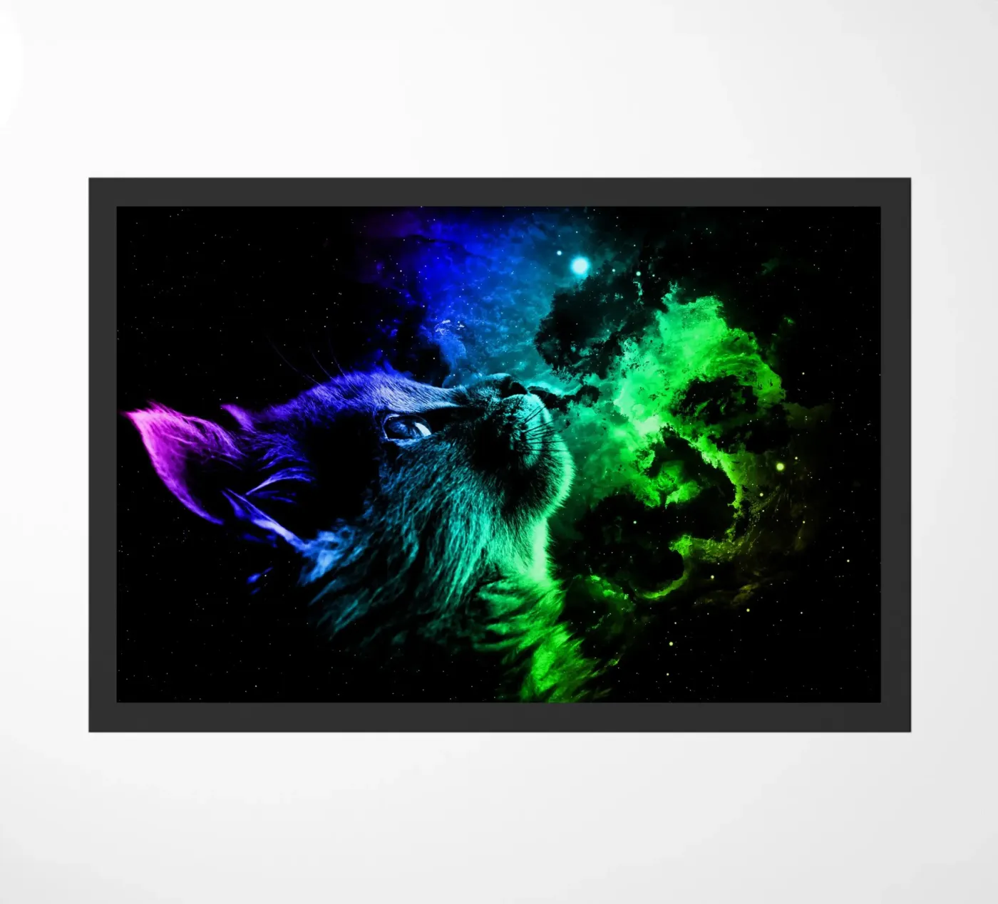 Cat Galaxy zerbino da Mateo