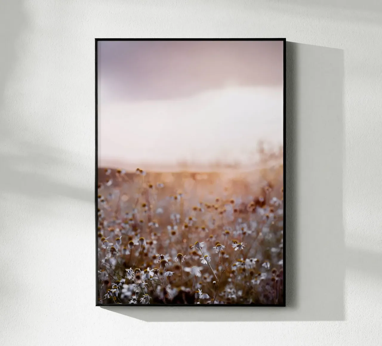 Dawn 1 plexiglass da Mareike Böhmer Photography