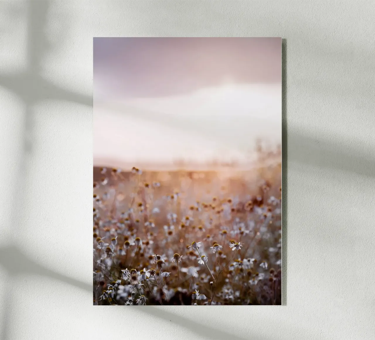 Dawn 1 plexiglass da Mareike Böhmer Photography