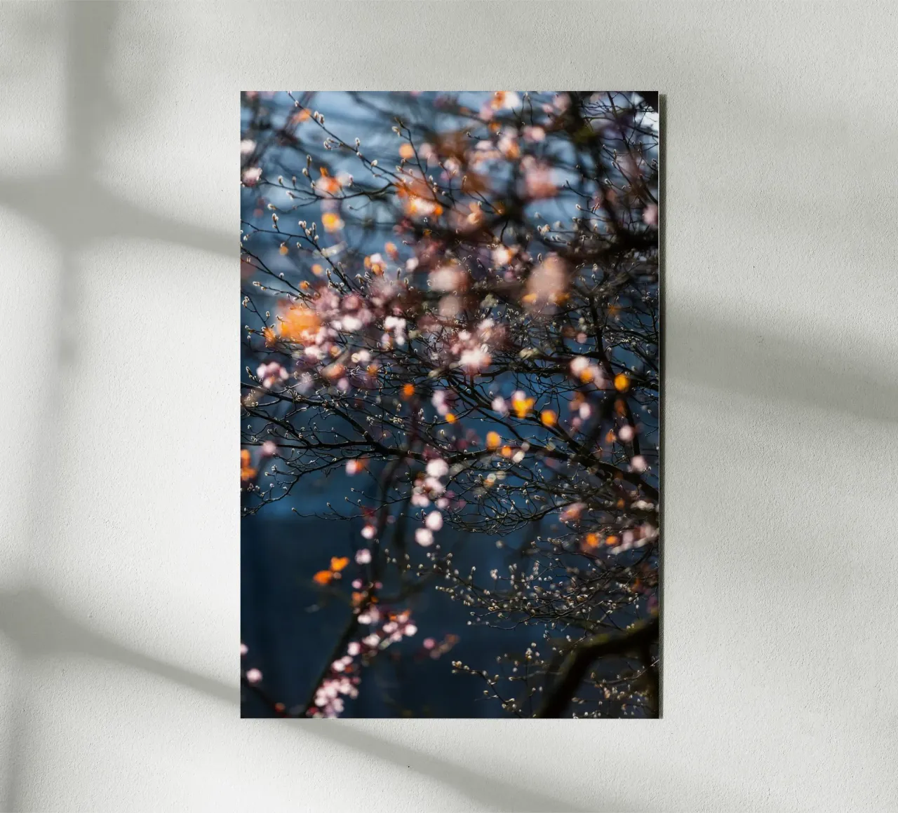 Spring Moments 2 Alu-Dibond von Mareike Böhmer Photography