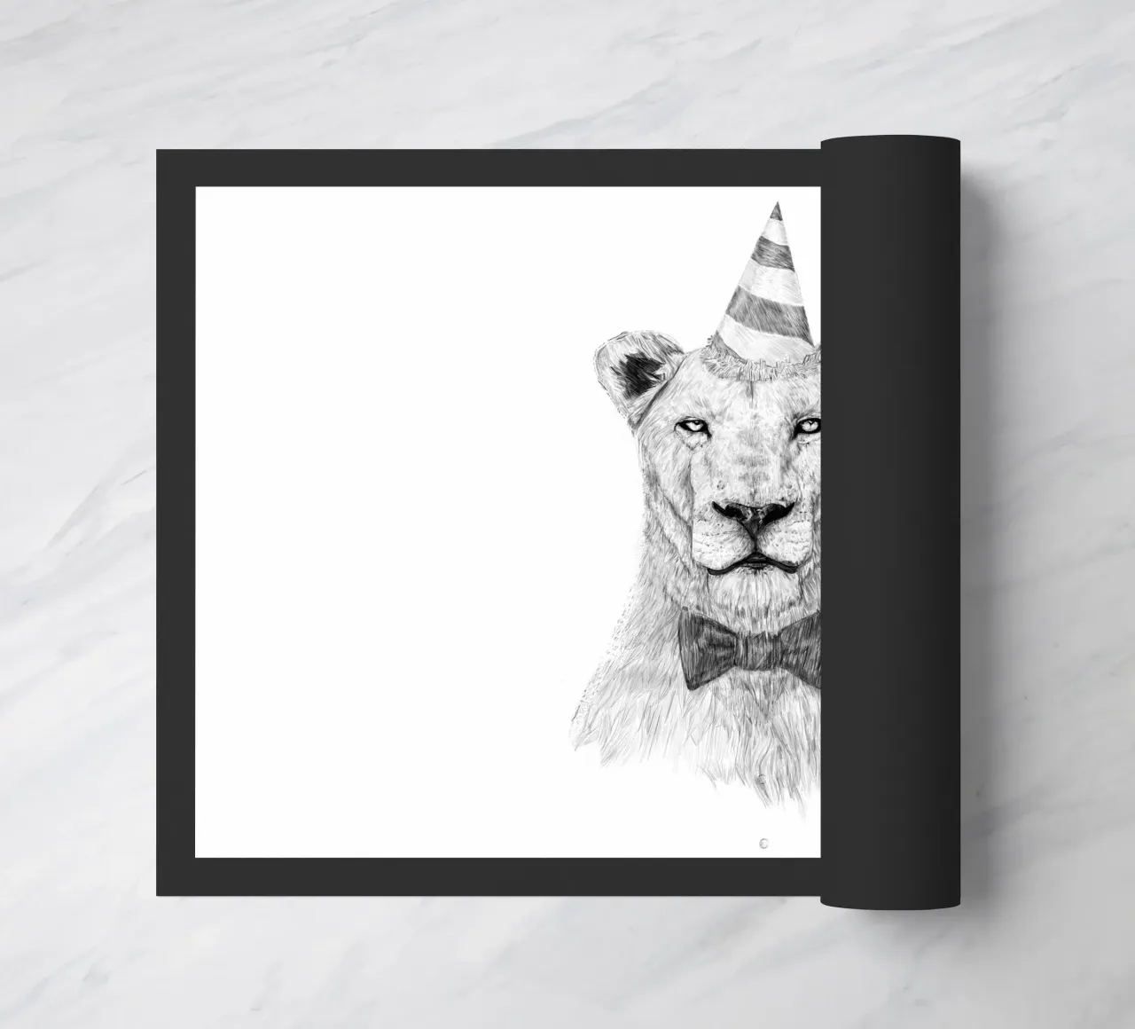 Get the party started zerbino da Balazs Solti