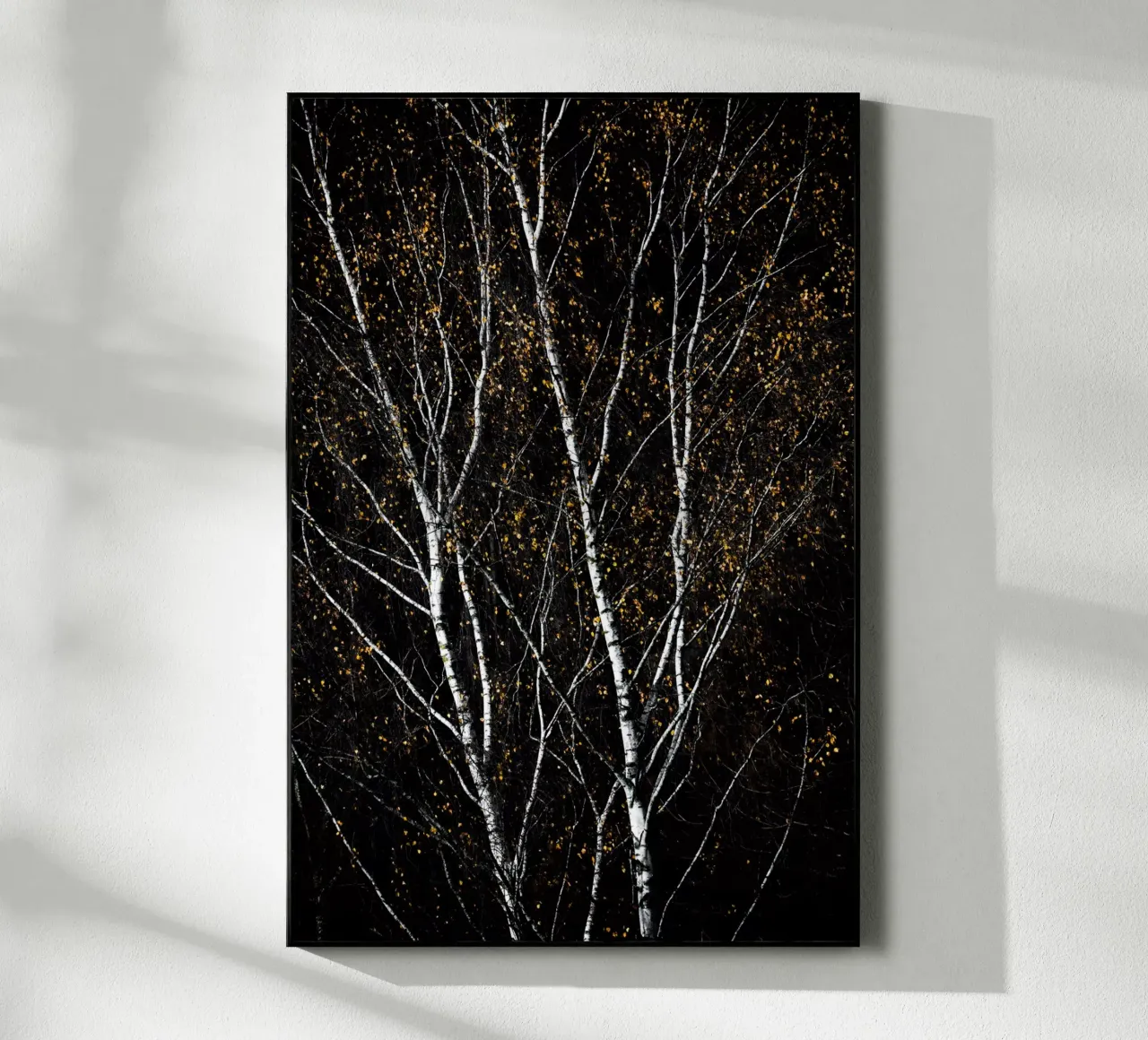 Birch Trees 3 plexiglass da Mareike Böhmer Photography