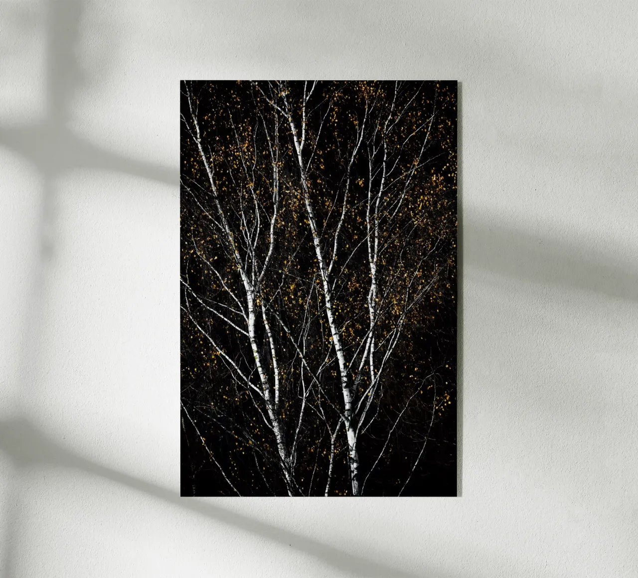 Birch Trees 3 plexiglass da Mareike Böhmer Photography