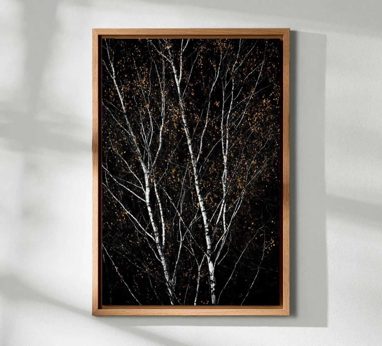 Birch Trees 3 Alu-Dibond von Mareike Böhmer Photography