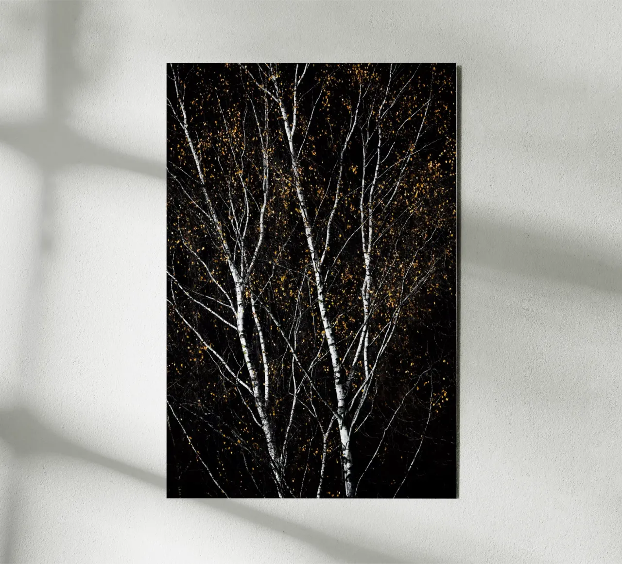 Birch Trees 3 Alu-Dibond von Mareike Böhmer Photography