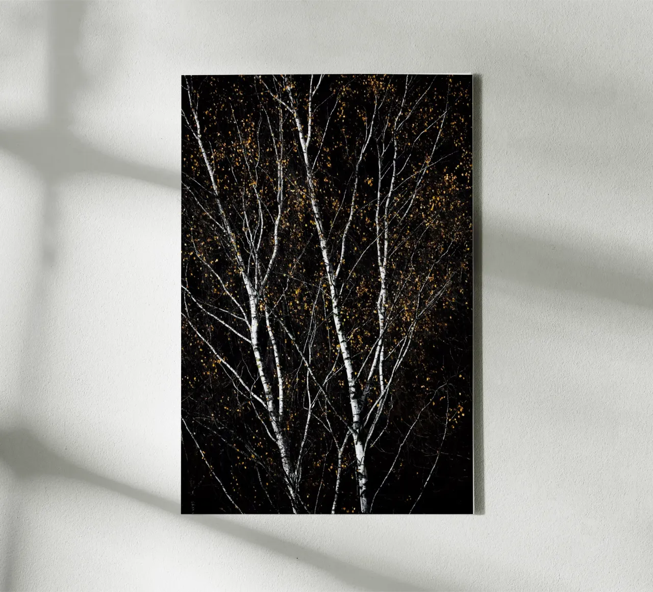 Birch Trees 3 tela da Mareike Böhmer Photography