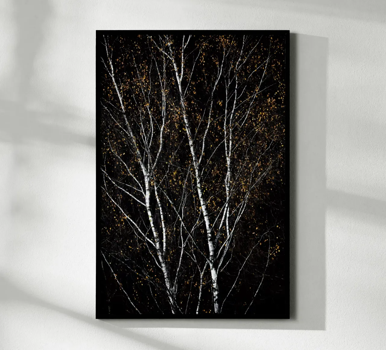 Birch Trees 3 poster da Mareike Böhmer Photography