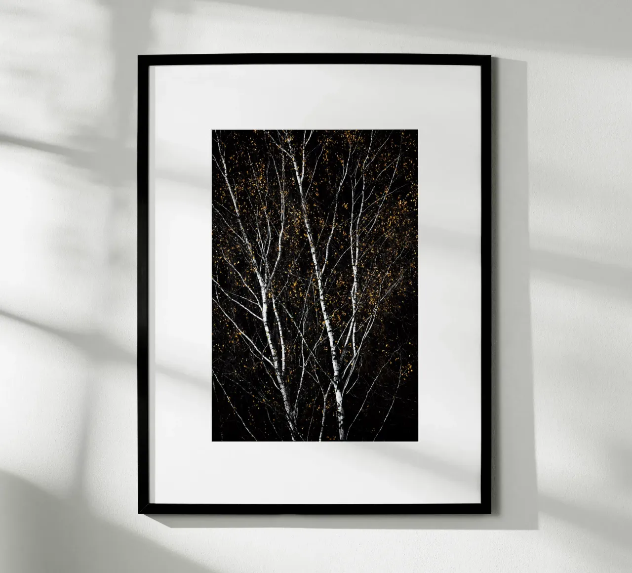 Birch Trees 3 poster da Mareike Böhmer Photography