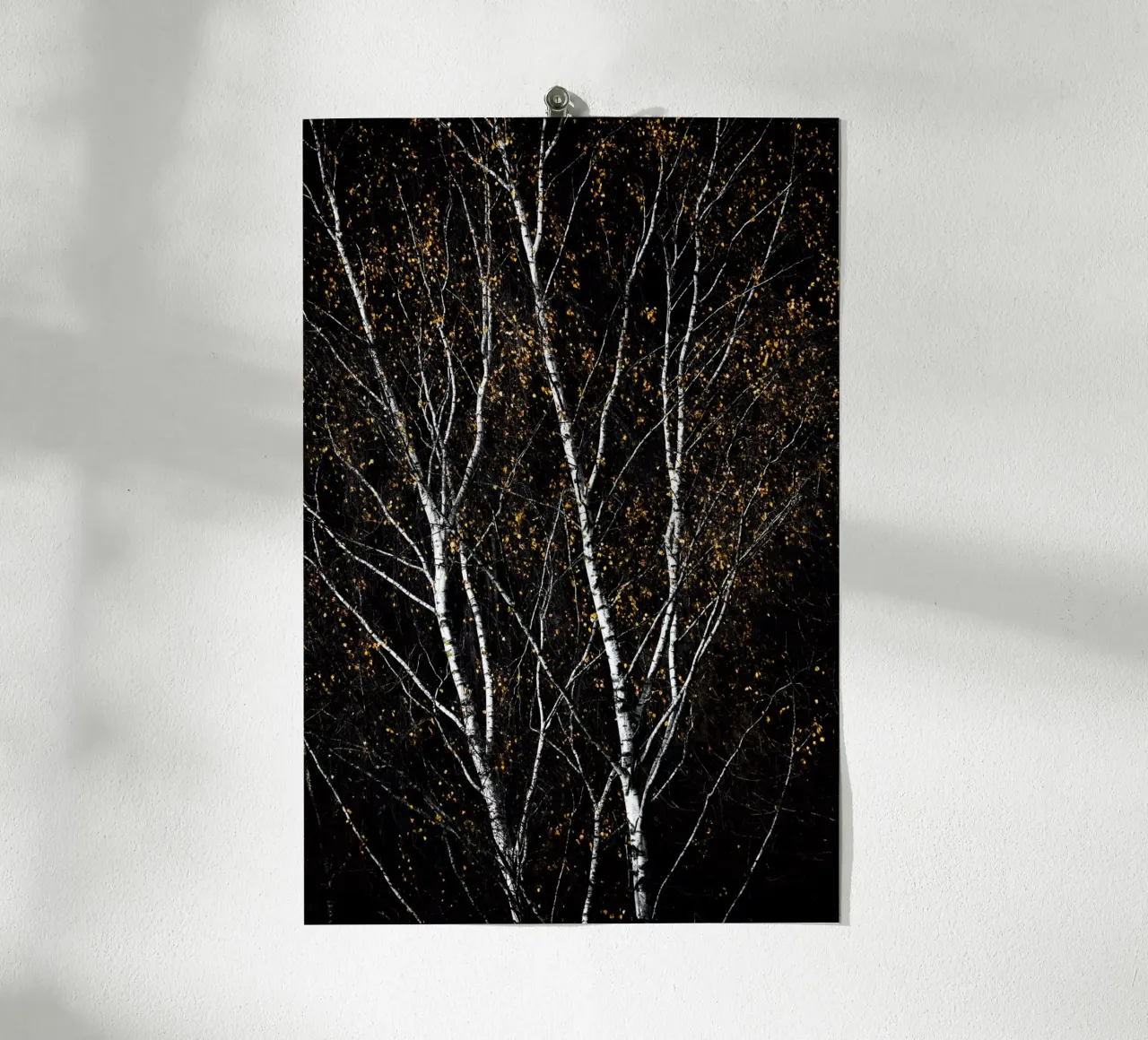 Birch Trees 3 poster da Mareike Böhmer Photography