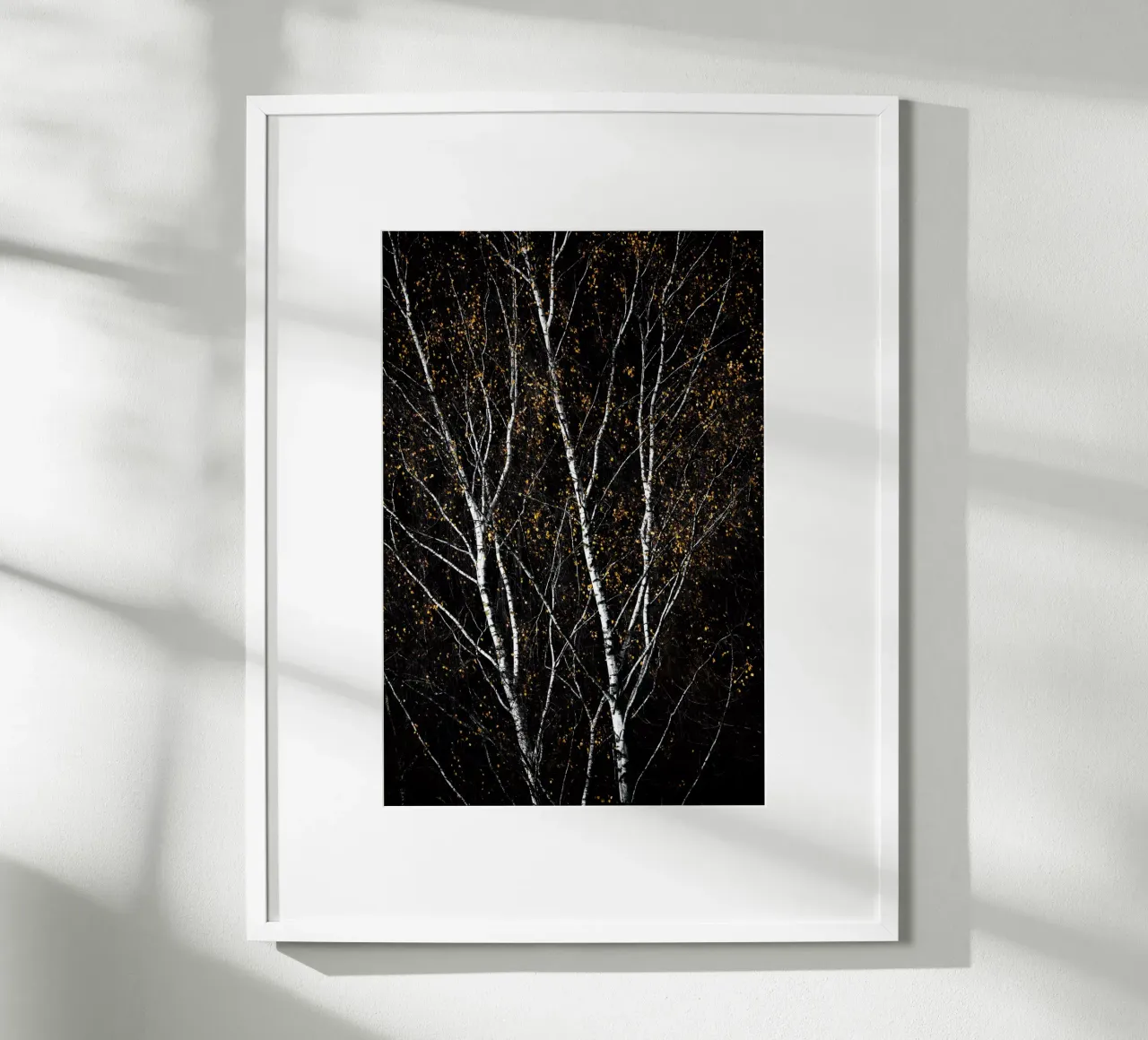 Birch Trees 3 poster da Mareike Böhmer Photography