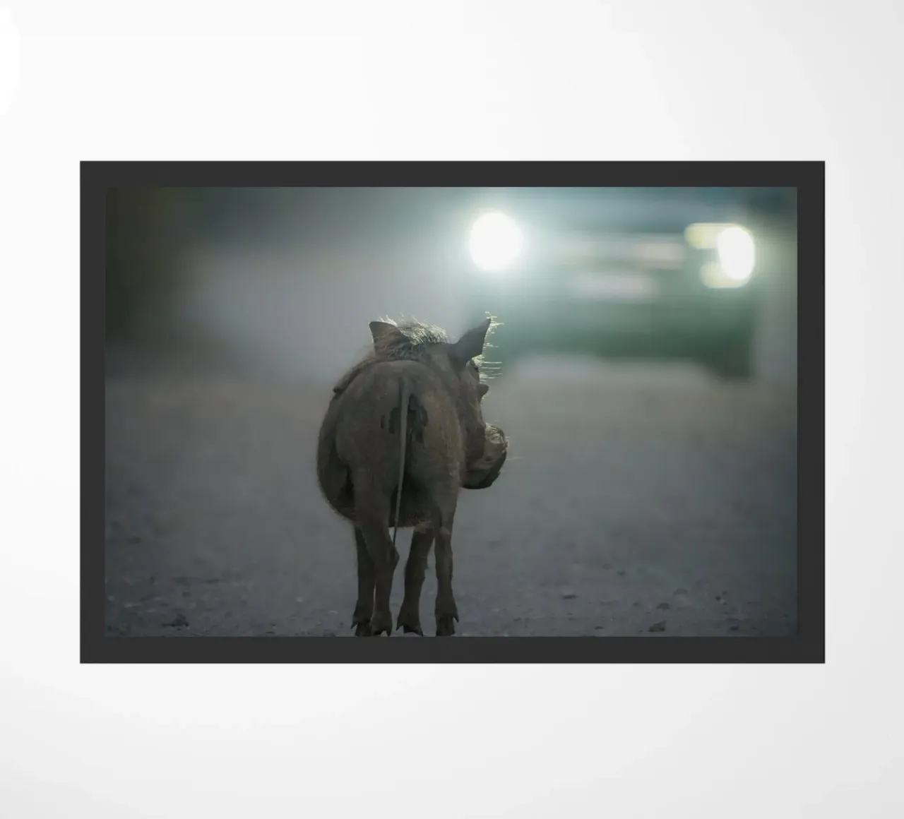 Warthog doormat by Tom's Wildlife