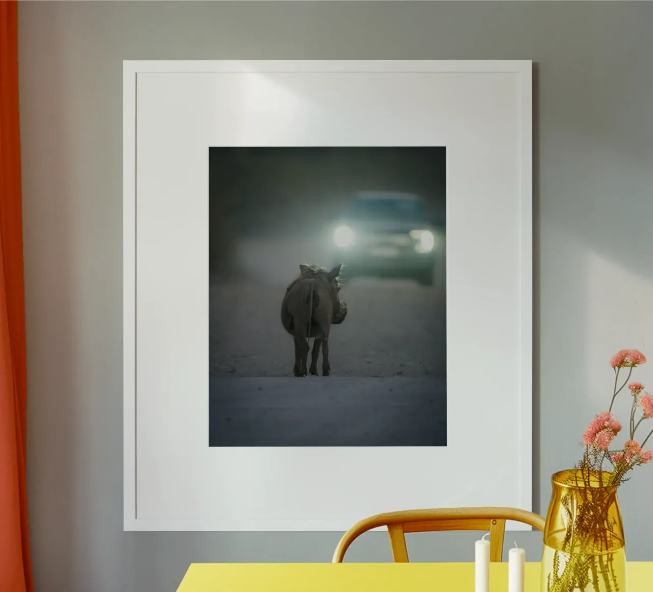 Facocero poster da Tom's Wildlife