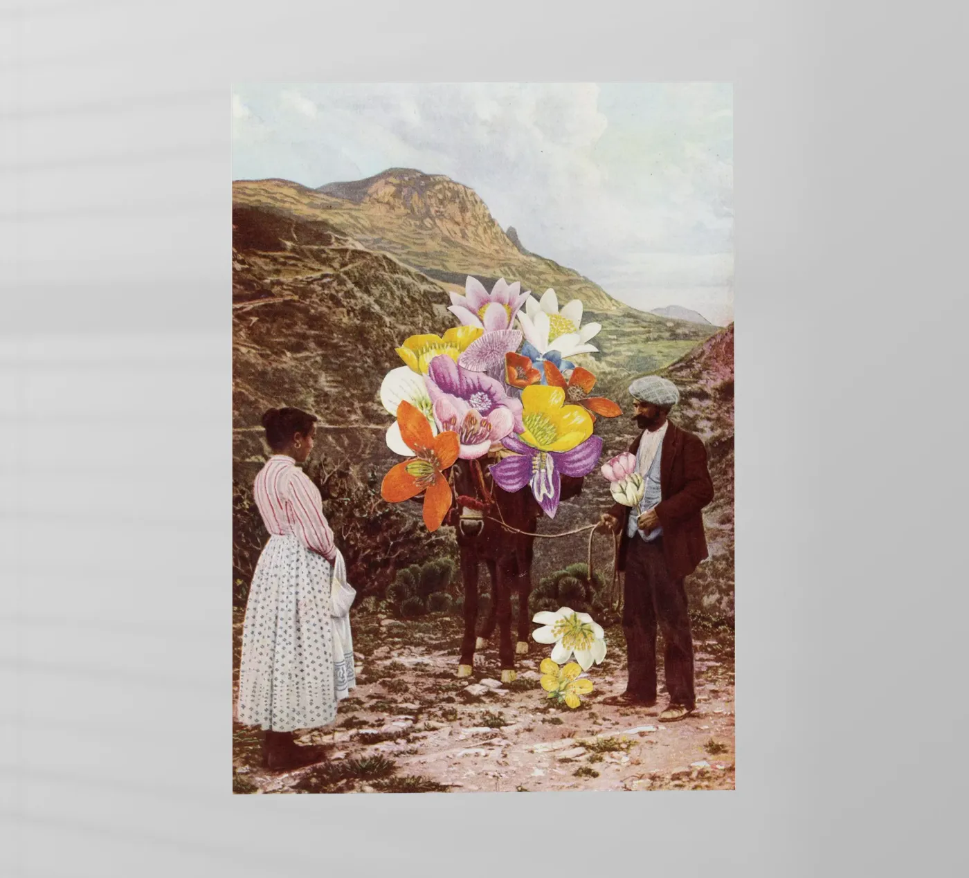 The Suitor pellicola backlit da Cassia Beck Collage