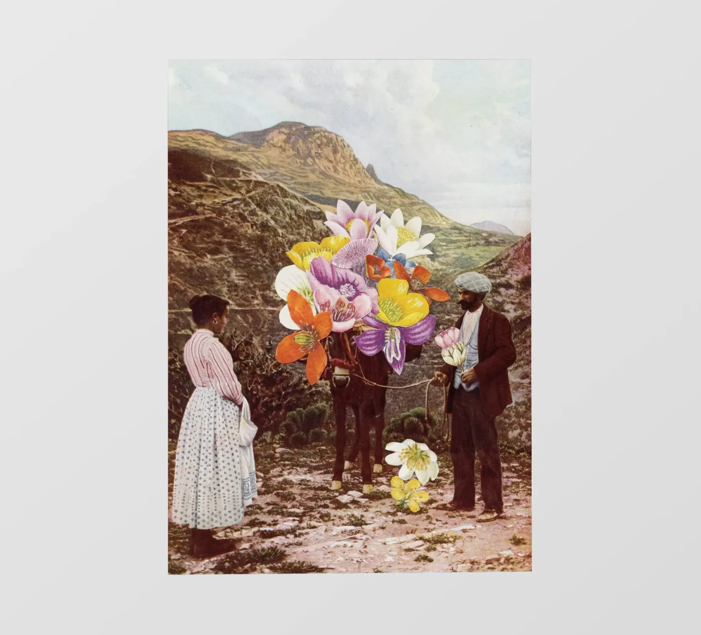 The Suitor pellicola backlit da Cassia Beck Collage