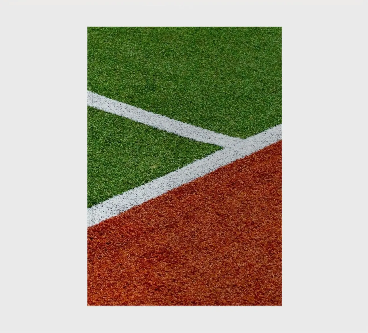 line color field notebook by scoten