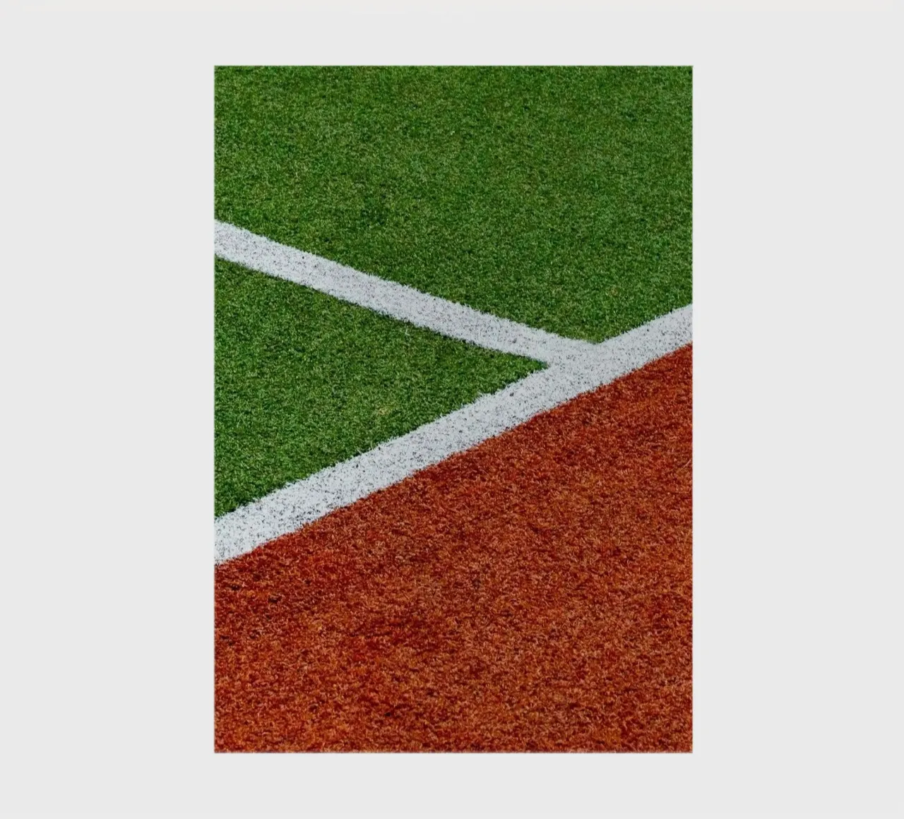 line color field notebook by scoten