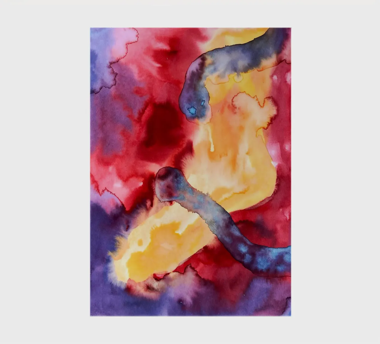 Movement and Instinct notebook by Studio 3