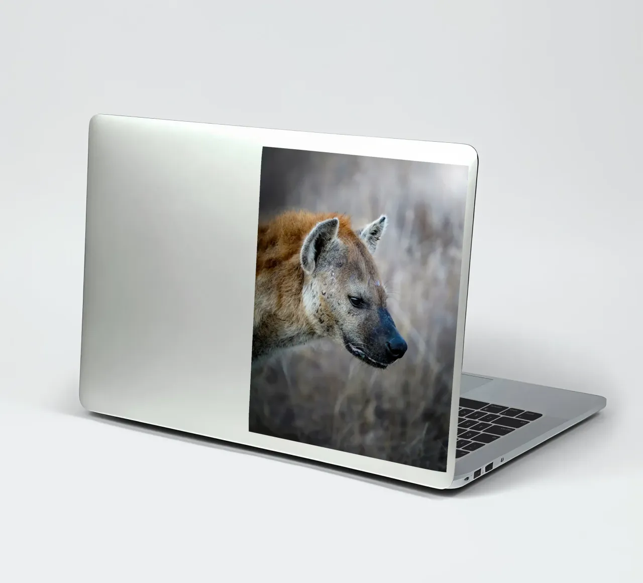 Hyena Sticker von Tom's Wildlife