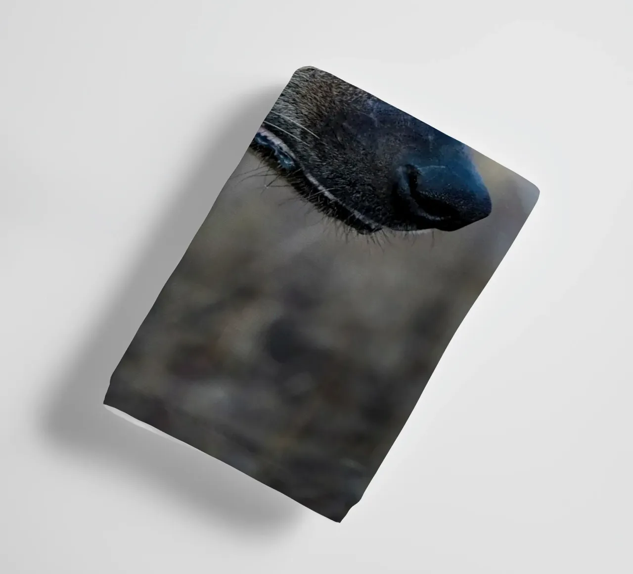 Hyäne Handtuch von Tom's Wildlife