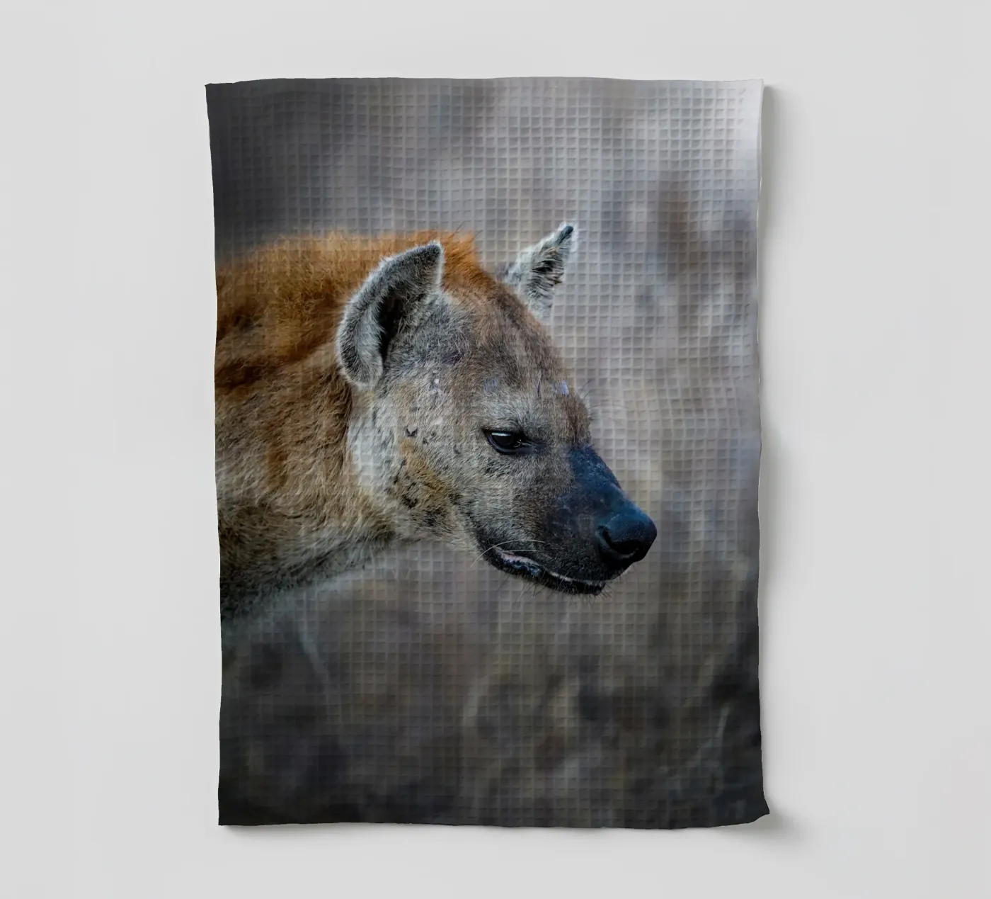 Hyena Geschirrtuch von Tom's Wildlife