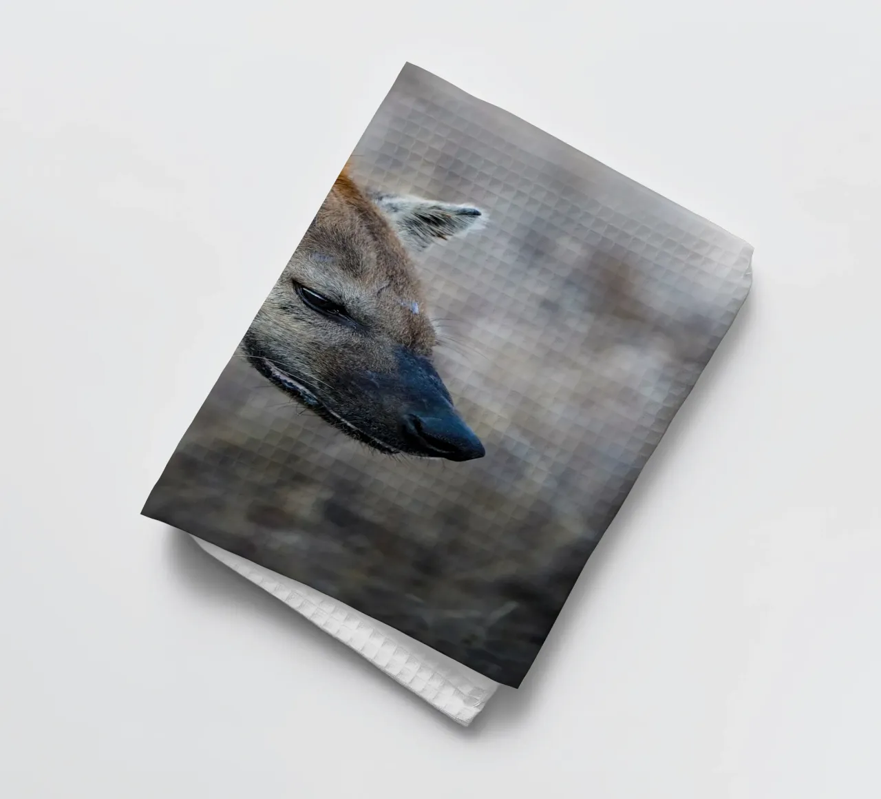 Hyäne Geschirrtuch von Tom's Wildlife