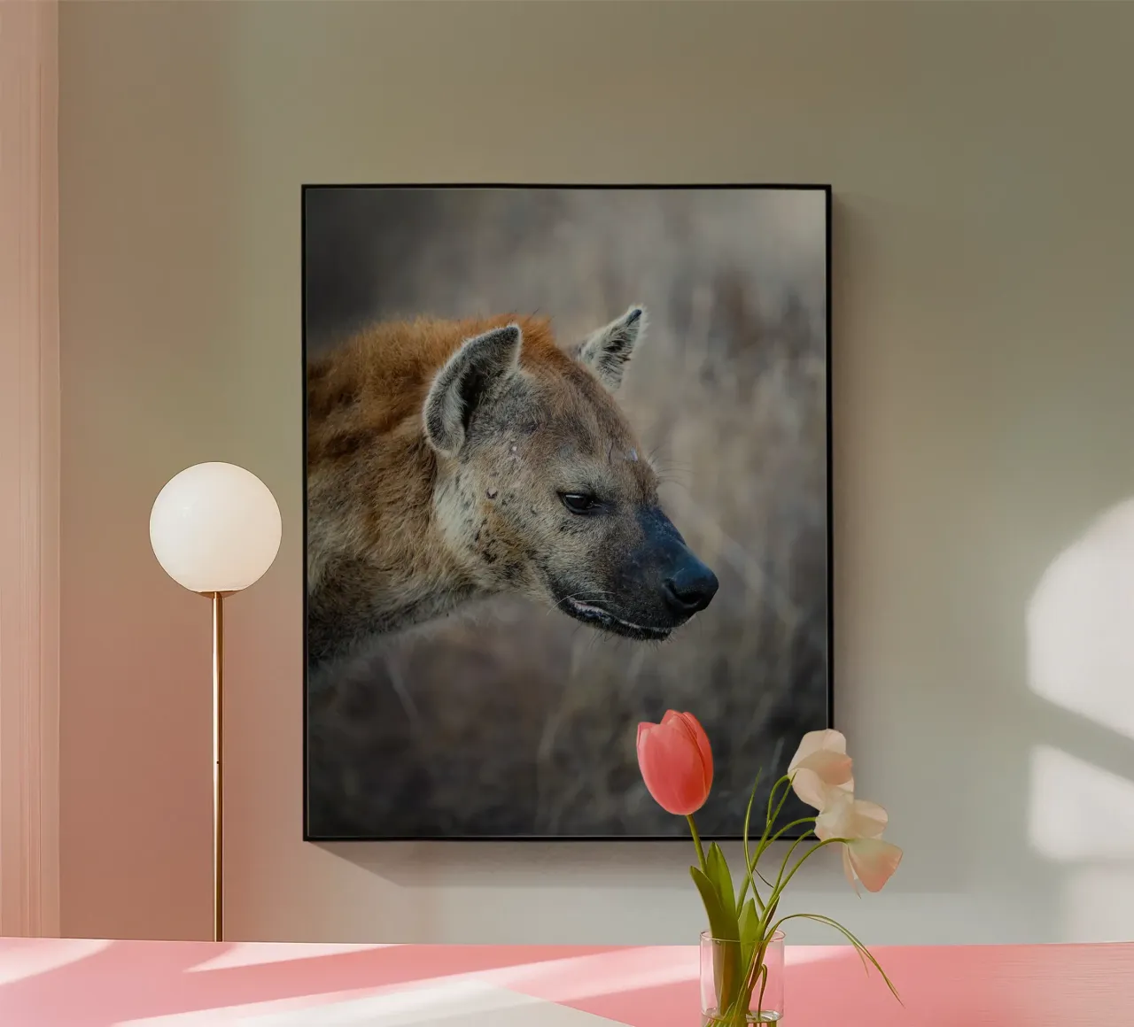 Hyena plexiglass da Tom's Wildlife