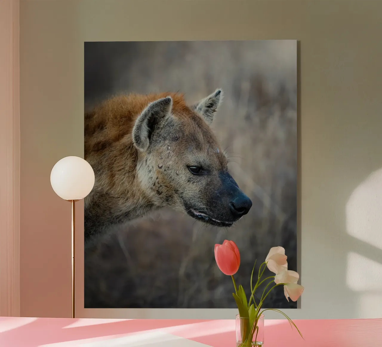 Hyena Acryl-Glas von Tom's Wildlife