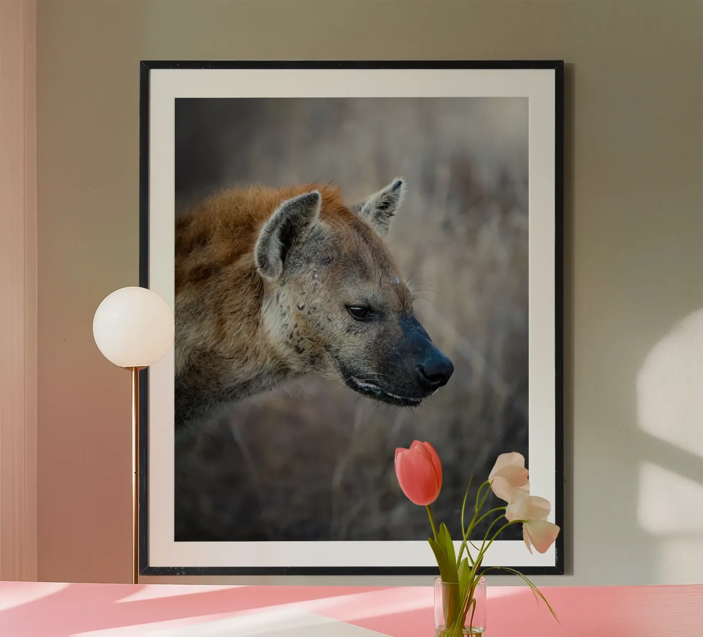 Hyäne Poster von Tom's Wildlife