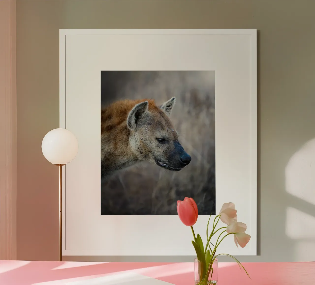 Iena poster da Tom's Wildlife