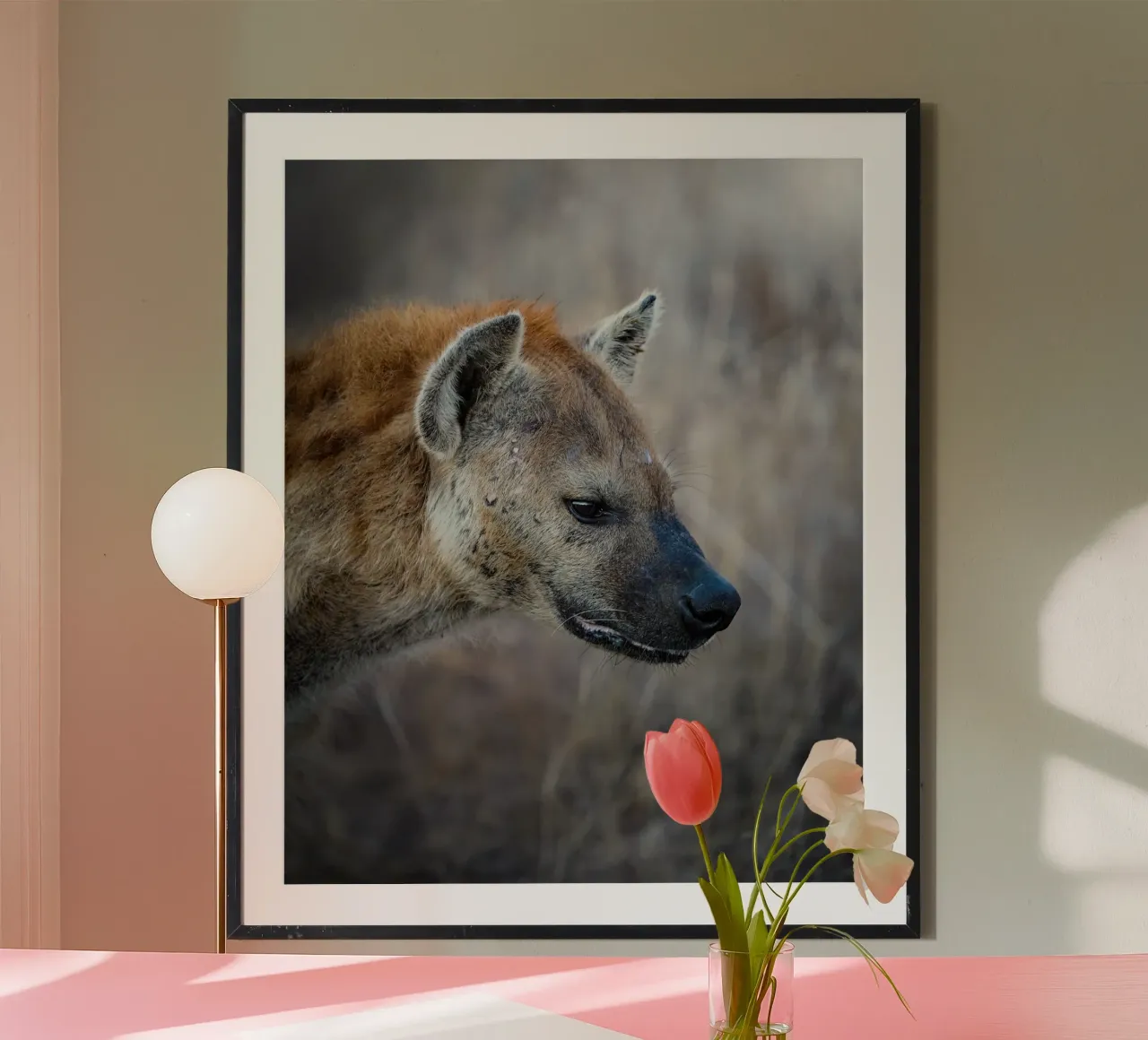 Iena poster da Tom's Wildlife