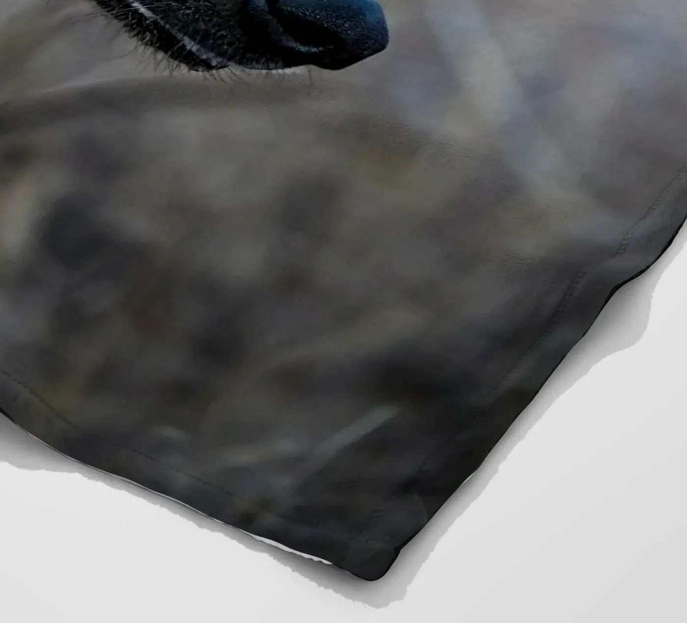 Hyäne Fleecedecke von Tom's Wildlife