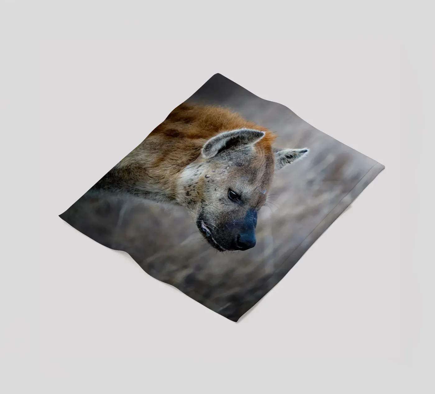 Hyäne Fleecedecke von Tom's Wildlife