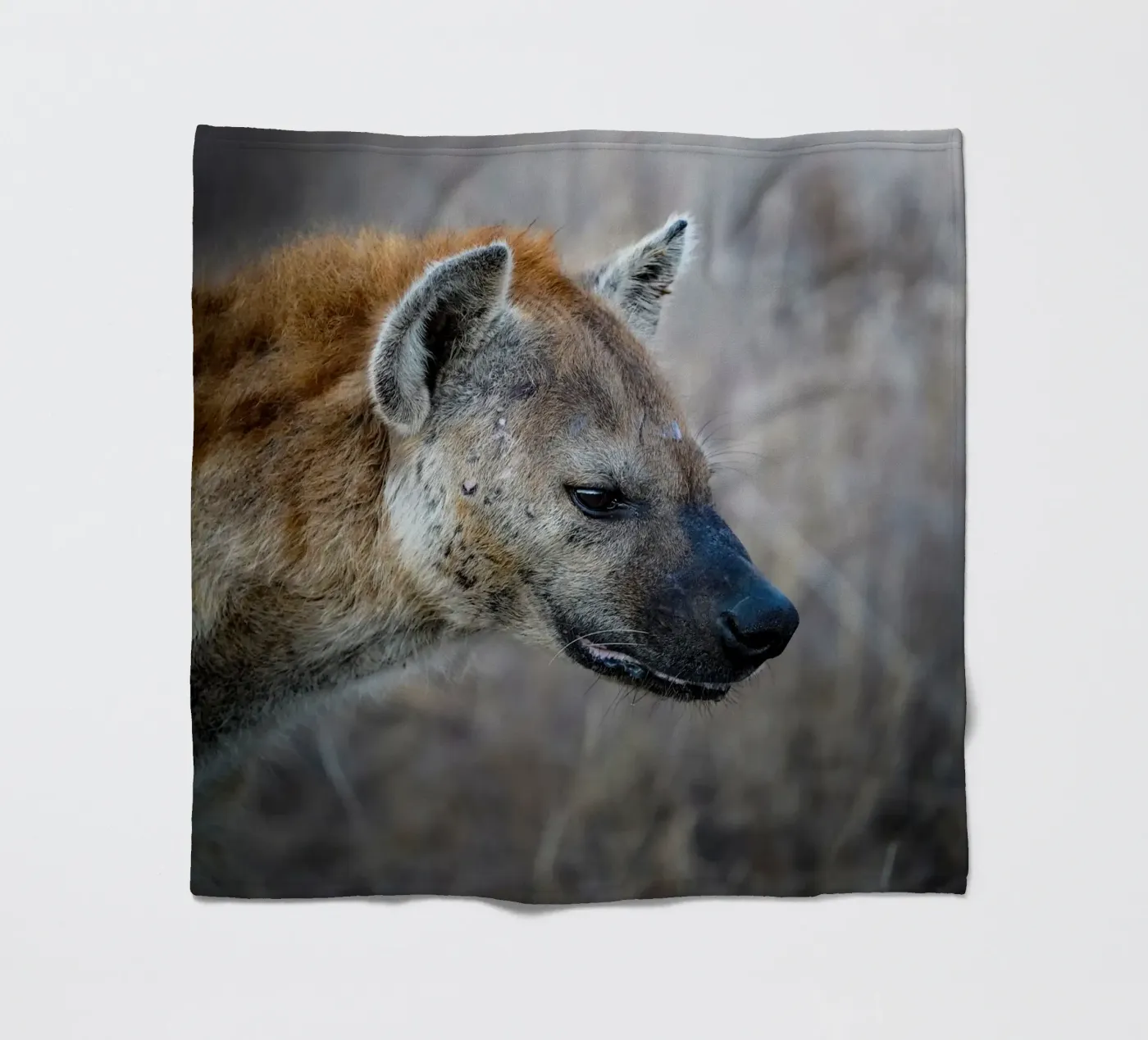 Hyäne Fleecedecke von Tom's Wildlife