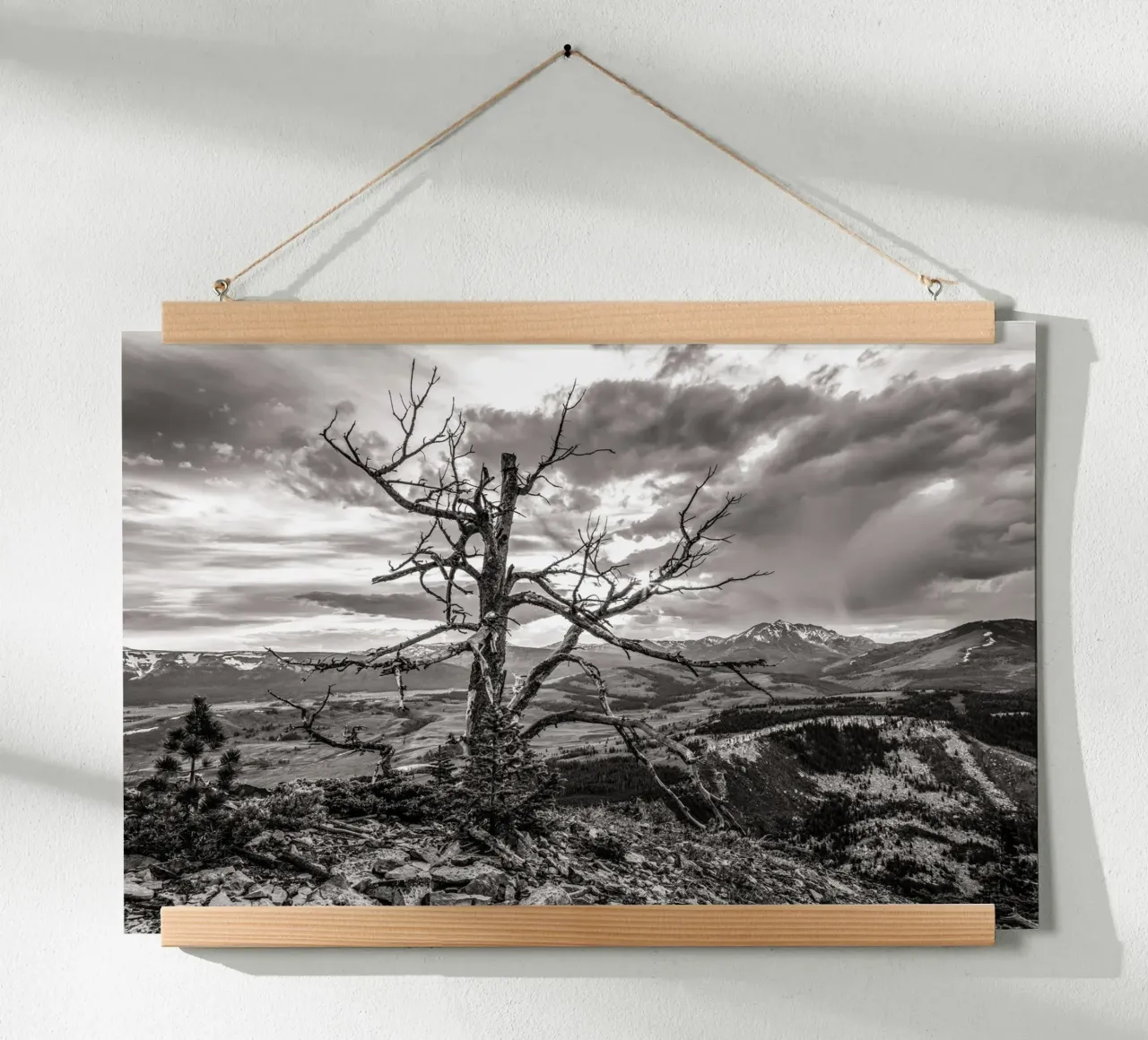 Pine Tree and Mountains carta hahnemühle da bwphoto