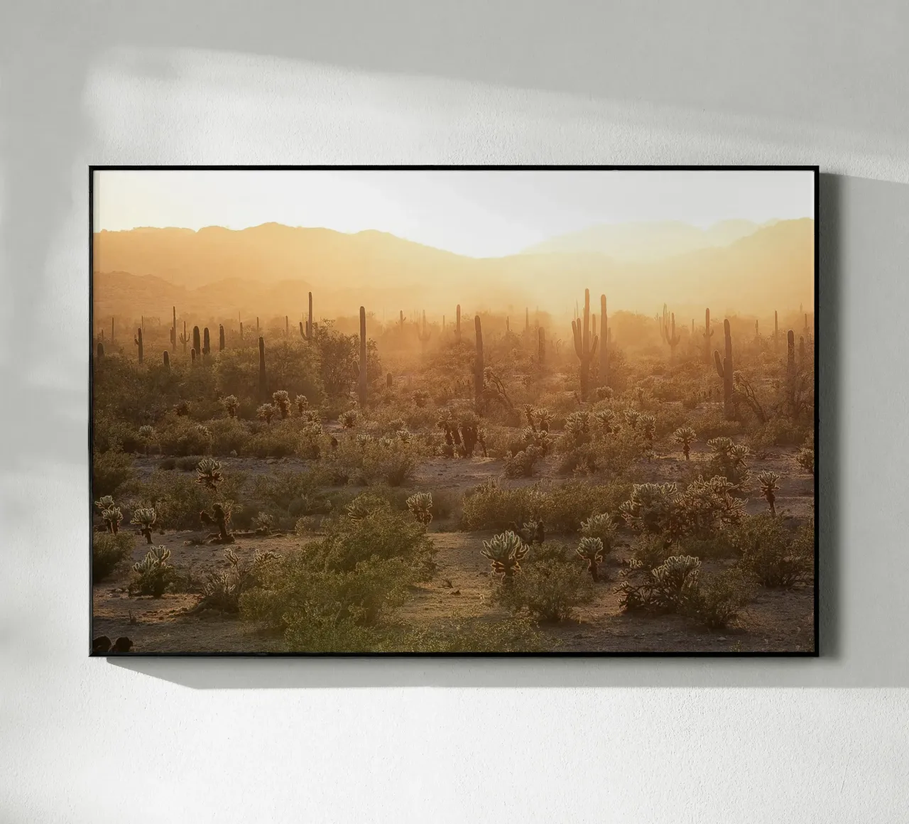 Desert Sunset Landscape plexiglass da stunningphotos