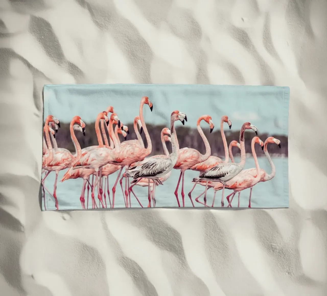 Flamingos telo mare da stunningphotos