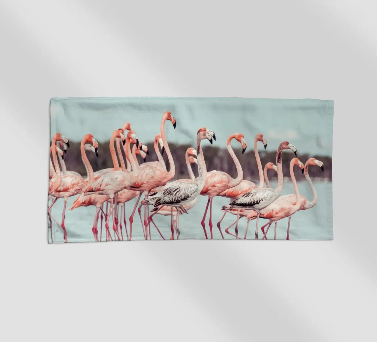 Flamingos telo mare da stunningphotos