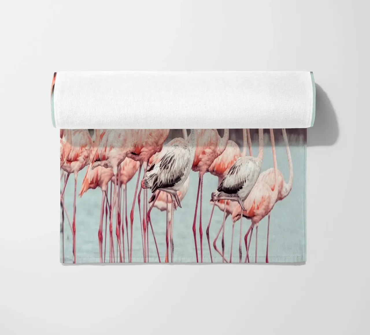 Flamingos telo mare da stunningphotos