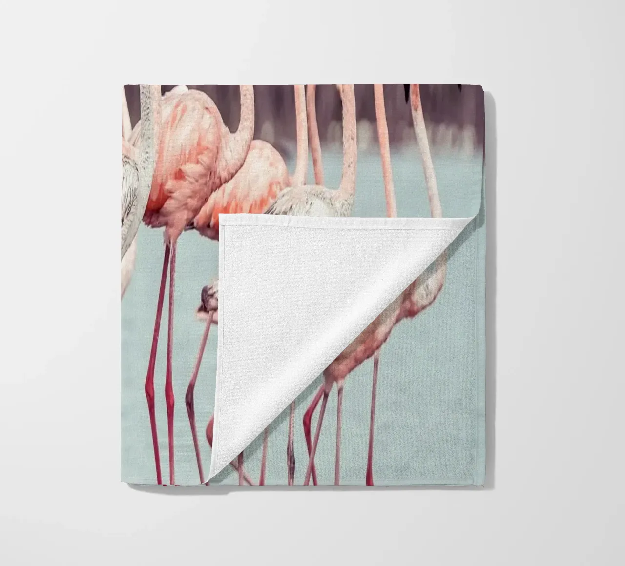 Flamingos telo mare da stunningphotos