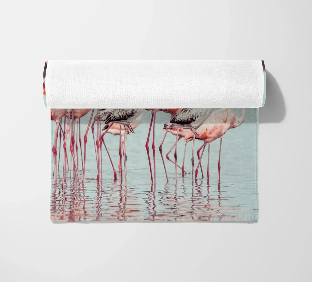 Flamingos telo mare da stunningphotos