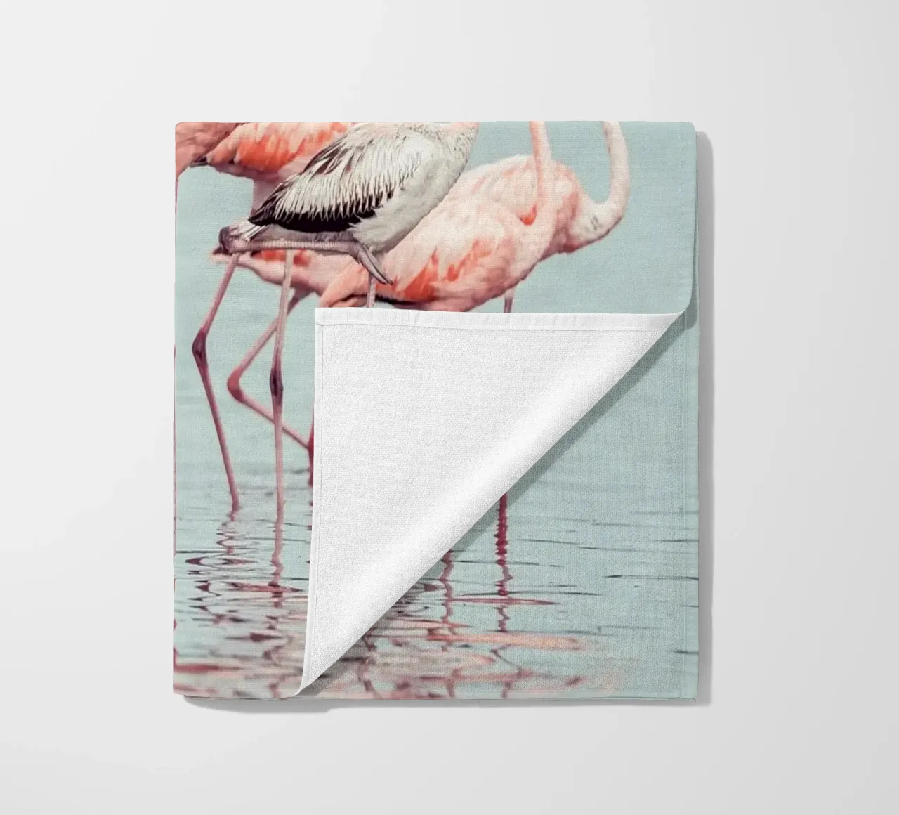 Flamingos telo mare da stunningphotos